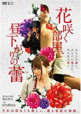 色即是空 电影海报